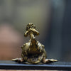 Monkey on Crocodile