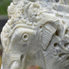 Royal Elephant