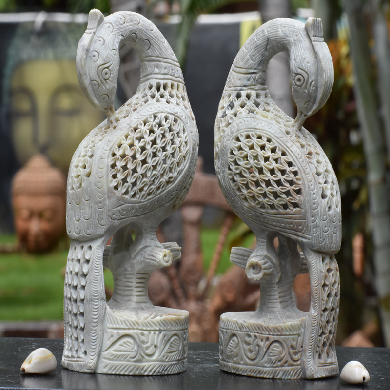 Peacock Pair