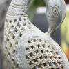 Peacock Pair